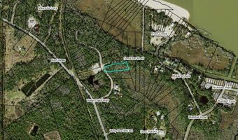 135 Water Oaks Way, Apalachicola, FL 32320