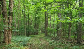 65 Acres 107th Ave, Allegan, MI 49010