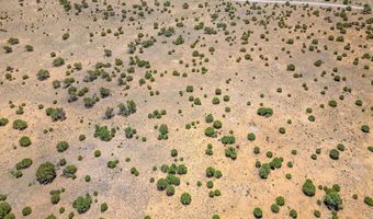 County Road 8643, Concho, AZ 85924