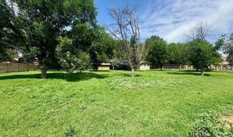 2010 Patricia Dr, Carlsbad, NM 88220