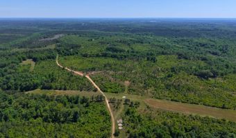 County Road 38, Autaugaville, AL 36003