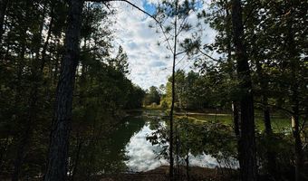 644 Ash-Harrel Loop, Abbeville, GA 31001