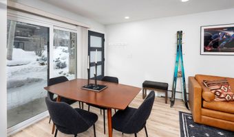 100 E DEAN St 1D, Aspen, CO 81611