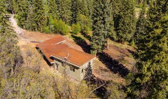 768 Kings Lake Rd, Basalt, CO 81621