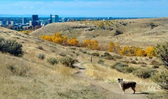 1005 E Aldape Cv, Boise, ID 83712