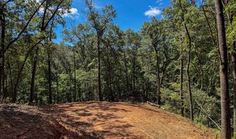 3 Black Rock Trl 3, Andrews, NC 28901