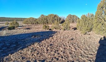 286 County Rd, Concho, AZ 85924