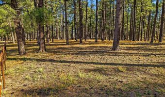 25319 US Hwy 191, Alpine, AZ 85920