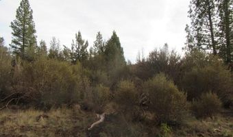 0 Polar Bear Ln Lot 4, Bonanza, OR 97623