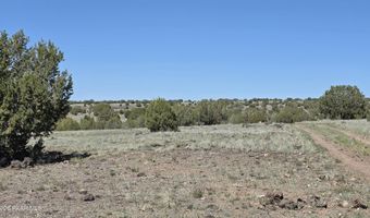 Ten Tanks Rd lot 6, Ash Fork, AZ 86320