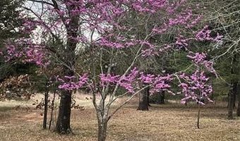1183 Romia, Achille, OK 74726