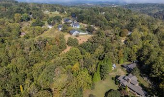 19 Woodchuck Cove Way, Alexander, NC 28701