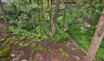 11 Clearview Ln, Highlands, NC 28741