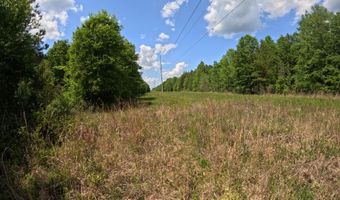 Christian Hts Road, Braxton, MS 39044