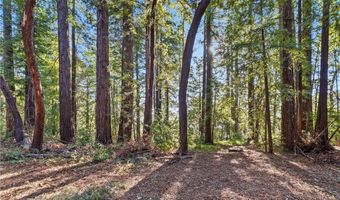 4419 Trout Gulch, Aptos, CA 95003