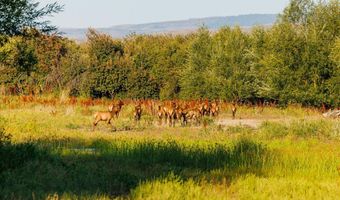 3127 US HWY 95, Cambridge, ID 83610