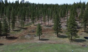 Roney Flat Road, Adin, CA 96006