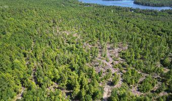Lot 39 Southwest Brook Lane, Beddington, ME 04622