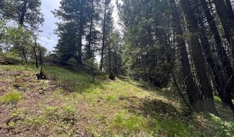 Tbd Hilltop Road 43 & 44, Cascade, ID 83611