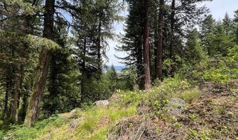 Tbd Hilltop Road 43 & 44, Cascade, ID 83611