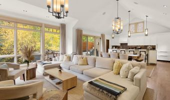 509 W Hopkins Ave, Aspen, CO 81611