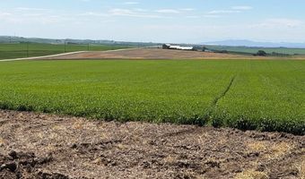 E 900 N, Ashton, ID 83420