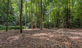 1034 Chestnut Flats Rd, Andrews, NC 28901