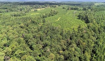 County Road 25, Banks, AL 36005