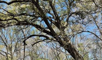 FM 521 TX, Angleton, TX 77515