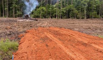715 Old Pinola Braxton Rd, Braxton, MS 39044
