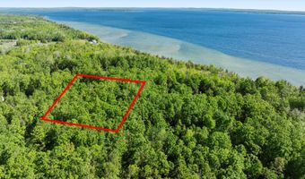 9707 Rogers Rd, Alanson, MI 49706
