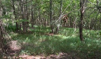 9 AC Lily Dale Rd, Allons, TN 38541