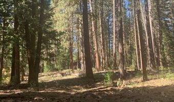 Edgewater Way lot 84, Adin, CA 96006