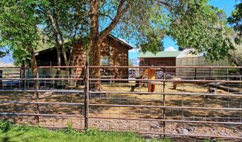 10341 Tongue Creek Rd, Austin, CO 81410