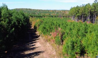 RIDGE RD lot 1, Arvonia, VA 23004