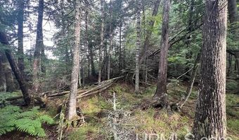 TBD Cable Lake, Amasa, MI 49903
