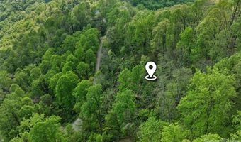 Jacks Knob Road 49, Barnardsville, NC 28709