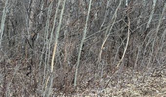 Simons Rd, Alma, WI 54610