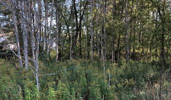 6430 6648 Admirals Point Drive Lot 9 Slip142, Alanson, MI 49706