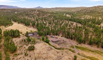 28 County Rd 2310, Alpine, AZ 85920
