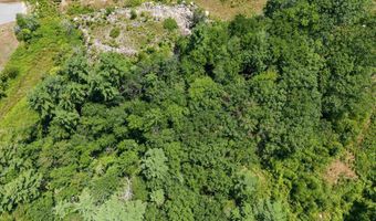58 Boxwood Dr, Auburn, NH 03032
