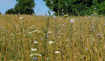 4775 S 50th Rd, Aldrich, MO 65601