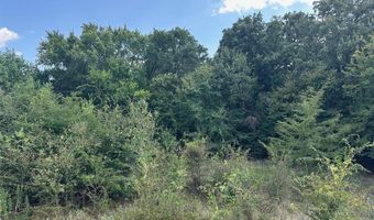 Rs Private Road 6372, Alba, TX 75410