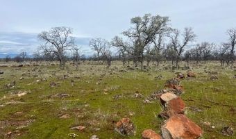 Buffalo Road, Anderson, CA 96007