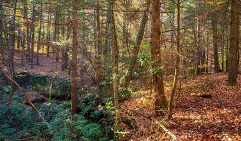 54 E Ridge Rd, Allardt, TN 38504