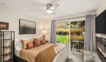 205 E Durant Ave 1-B, Aspen, CO 81611