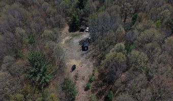 80 X Henry St, Alger, MI 48610