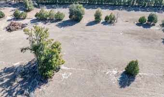 County Road 236 lot 5, Bell, FL 32619