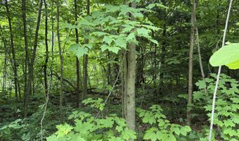 Lot 09 Riverside Drive, Auburn, ME 04210