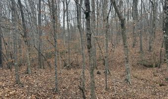 HARDWARE RD lot 1, Arvonia, VA 23004
